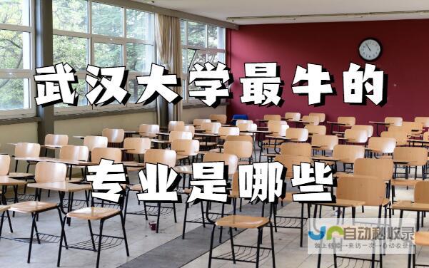 选择武汉专业的网站建设公司：提升品牌形象，引爆线上商机